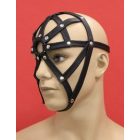 Leather Head Hearness