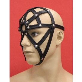 Leather Head Hearness