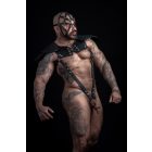 Leather Head Hearness