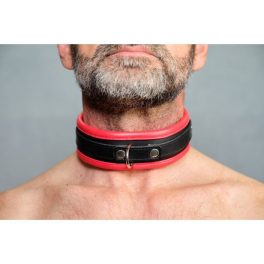 COLLARS